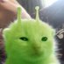 ๊ฟ์จ๋์จ (@dude_e0) Twitter profile photo ๊ฟ์จ๋์จ (@dude_e0) Twitter profile photo