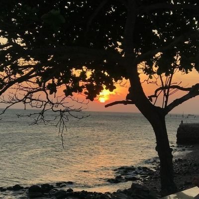 khoa440744's profile picture. 