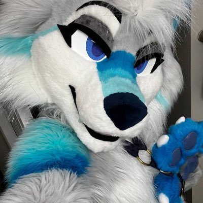 dragoness ✧ tomboy ♀ ✧ multisuiter ✧ 🇺🇸🇩🇪 ✧ 18+ ONLY 🏔️ the mountains are calling and i must go 🏔️
