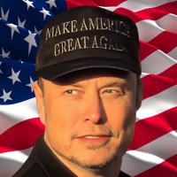 MrElon (@elonlchat) 's Twitter Profile