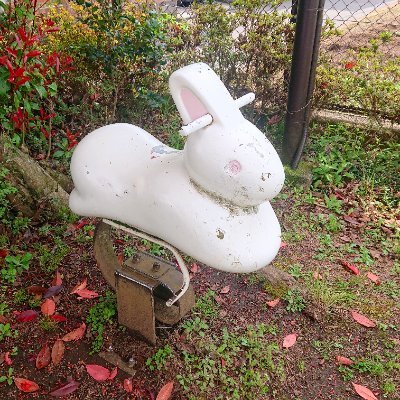 suzunosachiko's profile picture. Twitterは毎朝、noteは毎週日曜日に、ブログは本命ゆえに不定期、すべては日常生活について。