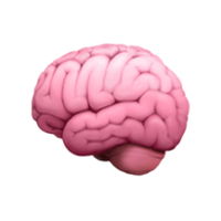 FOMO: Foundation Model Challenge for Brain MRI (@fomochallenge) 's Twitter Profile Photo FOMO: Foundation Model Challenge for Brain MRI (@fomochallenge) 's Twitter Profile Photo