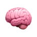 FOMO: Foundation Model Challenge for Brain MRI (@fomochallenge) Twitter profile photo FOMO: Foundation Model Challenge for Brain MRI (@fomochallenge) Twitter profile photo