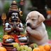 Deepika Ravula (@ravuladeepika) Twitter profile photo Deepika Ravula (@ravuladeepika) Twitter profile photo