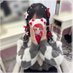 ふうたん@♡りつでお迎え中 (@fua_satorinu) Twitter profile photo ふうたん@♡りつでお迎え中 (@fua_satorinu) Twitter profile photo