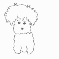 さじ (@000aaayyy) Twitter profile photo