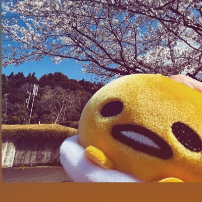 ☆ きのぴ☺︎ さま　専用　☆ 楽天市場】本 ミズヒキクラフトBOOK vol.2 水引のさまざまな結び