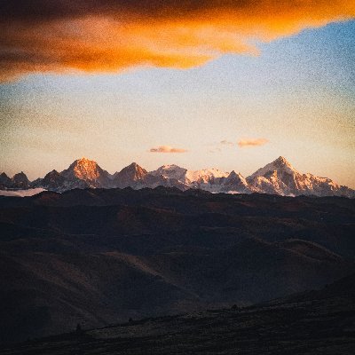 haido63's profile picture. AI x Quantum Computing x Crypto.
Balancing absolute intelligence & absolute security.
I don't just predict the future. I build it.
Join the revolution.