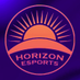 Horizon Valorant (@horizonesportsv) Twitter profile photo Horizon Valorant (@horizonesportsv) Twitter profile photo