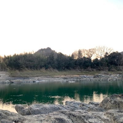 gurellovee's profile picture. 