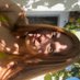 Ana Pau (@apaupiaggileiva) Twitter profile photo Ana Pau (@apaupiaggileiva) Twitter profile photo