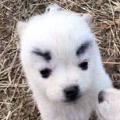 ma_rrsjlo's profile picture. 