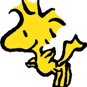 nikubbx's profile picture. ビートボックス