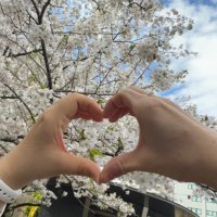 まりお♭🐿(取引垢) (@mario_mmhh) 's Twitter Profile