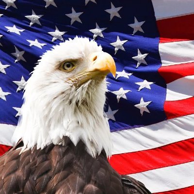 Greg92311036's profile picture. Hi ! I'm Greg 25 years old , I love sports , travel , adventure , my family , friends.Follow back 💯💯💯💯💯💯💯