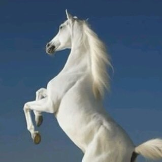 Lolia_algmere's profile picture. …..