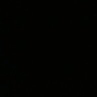 Doggisen's profile picture. 