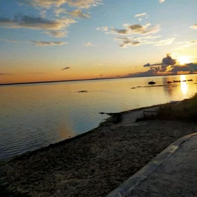 victoria1432280's profile picture. 