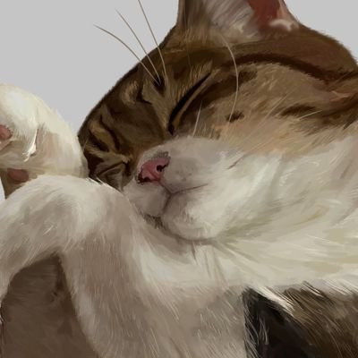 Bさんのプロフィール画像