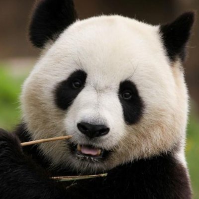 gravytooo61's profile picture. 