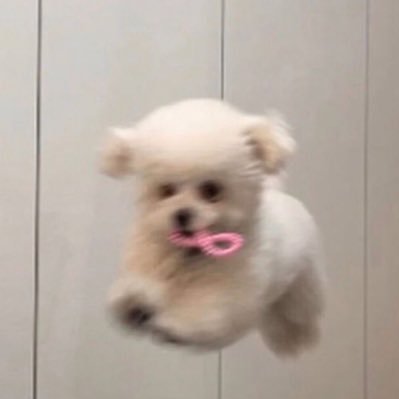 bibigurlさんのプロフィール画像