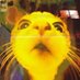 vaslay (@gayvaslay) Twitter profile photo vaslay (@gayvaslay) Twitter profile photo