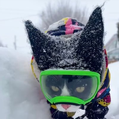 Phoenix👻✨さんのプロフィール画像