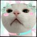 MMMIDIM🐰 (@mstudymg) Twitter profile photo MMMIDIM🐰 (@mstudymg) Twitter profile photo