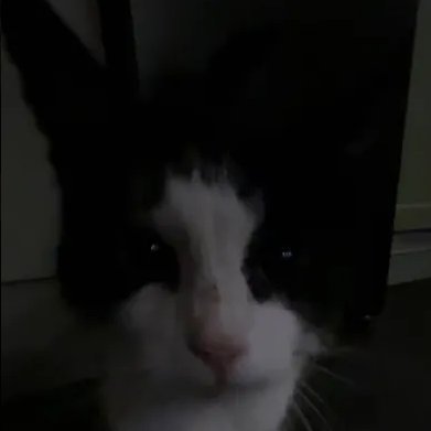 vHarold4's profile picture. 