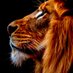 مـقــرن (@i_mogren) Twitter profile photo مـقــرن (@i_mogren) Twitter profile photo
