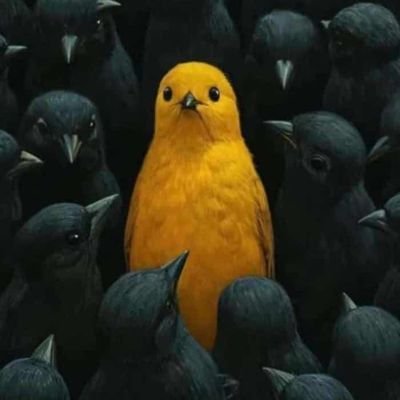 Just_Believe000's profile picture. Stay Focused 💪 and grind smartly.
 life isn't funny but we cope with comedy 😂👂

@ChelseaFC proud defender and support 💪💪

 @Dlaw0111  .Back up acc