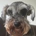 Lucy Milligan (@lucydoren) Twitter profile photo Lucy Milligan (@lucydoren) Twitter profile photo