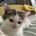 Milena Sziler (@mil3nka1956) Twitter profile photo Milena Sziler (@mil3nka1956) Twitter profile photo