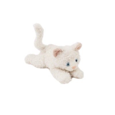 cider__12's profile picture. 