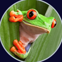 Kacee Johnson - @KaceeJohnson419 - Twitter