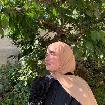 alaabanyyamer's profile picture. 