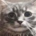 GnomeHunter45 (@gnomepummeler) Twitter profile photo GnomeHunter45 (@gnomepummeler) Twitter profile photo