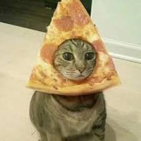 franchocs - Buying Skins 95% π¦π· (@franchocs) 's Twitter Profile