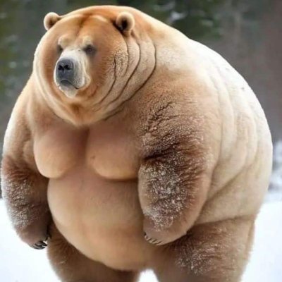 VeryRegularGuy's profile picture. You've made your bed, now lie in it. 
| #RipTwitter #MuskToDomlask | scouting, gaming, cats, hockey