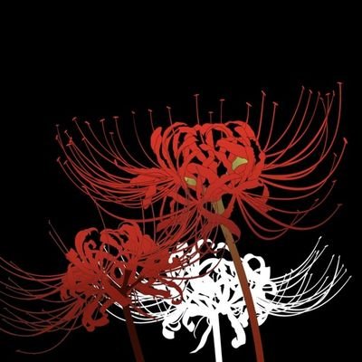 kzS7Csq9H879512's profile picture. ヒイロです