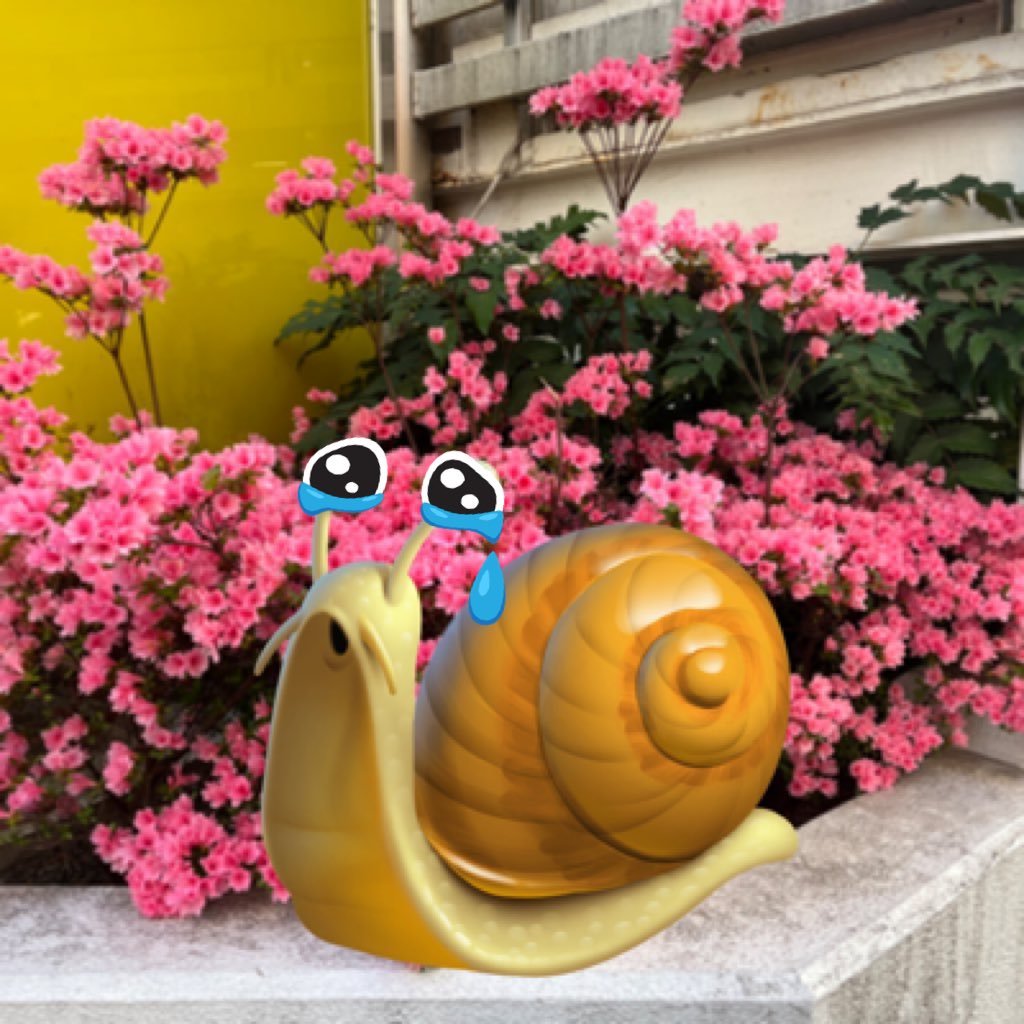 ml_kondo's profile picture. 元機械学習エンジニア(3年)→ブランク2年／10月からエンジニア人生再スタート🌈／ Qiitaで理解を深めながら発信中／画像・映像解析（物体検出）中心／自走力×探究心が強みです／ エッジデバイスでの実装にも興味あります！