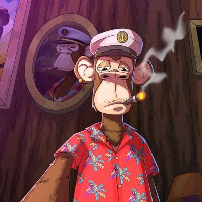 Moneycryptox's profile picture. never stops dreaming!!  Investor & Professional raider!