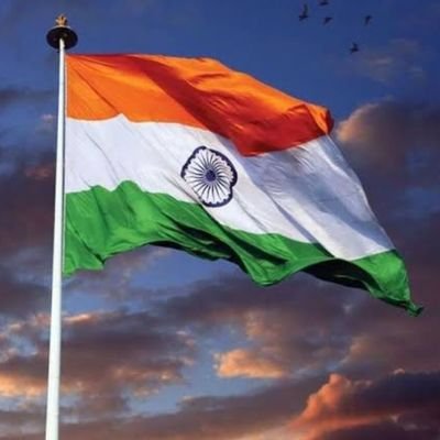 MdShabab79619's profile picture. 