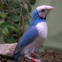 Todd Biggs - @BiggsTodd - Twitter