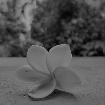 ebrahim14adh's profile picture. Crypto enthusiast sharing insights on blockchain, digital currency, and decentralized finance trends. #Crypto #Blockchain