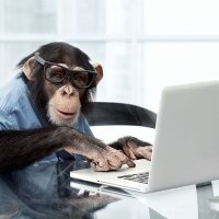 ๐๐ผEsteban โ๏ธ๐ (@turcoontheblock) 's Twitter Profile