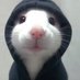 Sasha Van Rompaey (@rompaeysas13786) Twitter profile photo Sasha Van Rompaey (@rompaeysas13786) Twitter profile photo