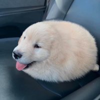채뻑이 (@chae_fxxk) 's Twitter Profile
