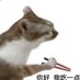 Chao_Free and hungry (@chaosfreedmen) Twitter profile photo Chao_Free and hungry (@chaosfreedmen) Twitter profile photo