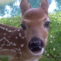 kim (@limizms) 's Twitter Profile Photo kim (@limizms) 's Twitter Profile Photo